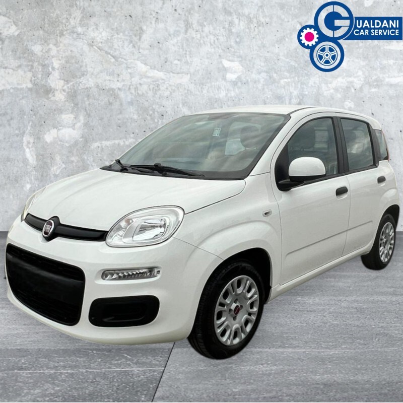 FIAT Panda 3ª serie Panda 1.2 Easy Van 4 posti