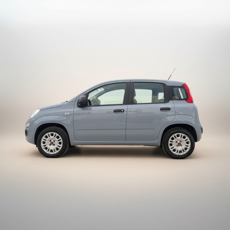 gualdani_di_giulio_gualdani_e_c_fiat_panda_3a_serie_benzina_6a07478debf65.jpg