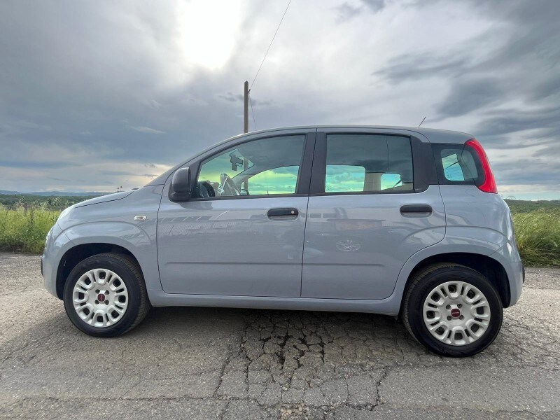 FIAT Panda 3ª serie Panda 1.2 Easy