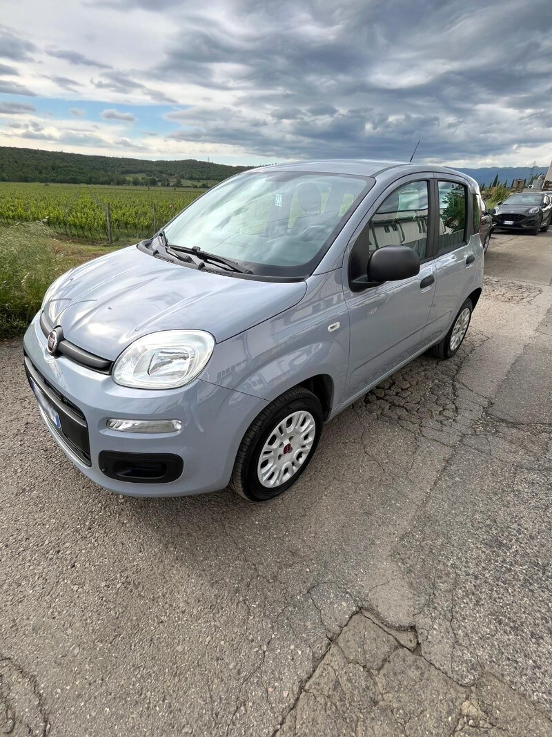FIAT Panda 3ª serie Panda 1.2 Easy