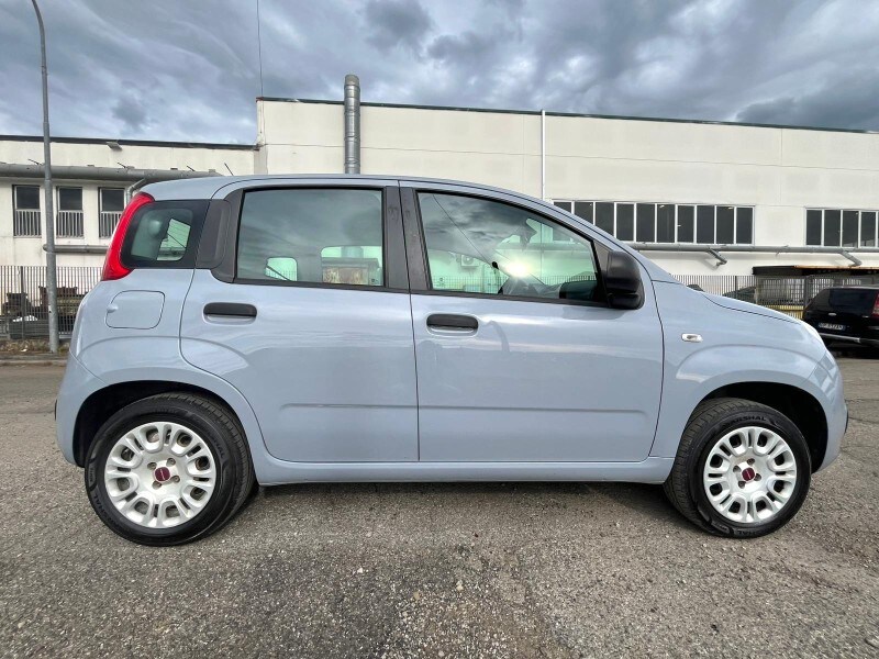 FIAT Panda 3ª serie Panda 1.2 Easy