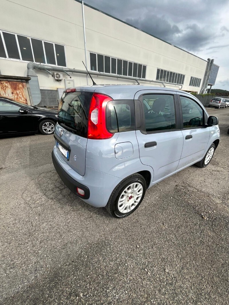 FIAT Panda 3ª serie Panda 1.2 Easy