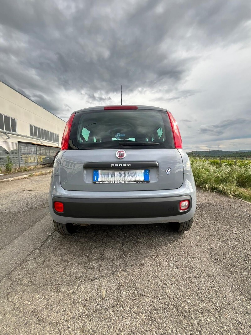 FIAT Panda 3ª serie Panda 1.2 Easy