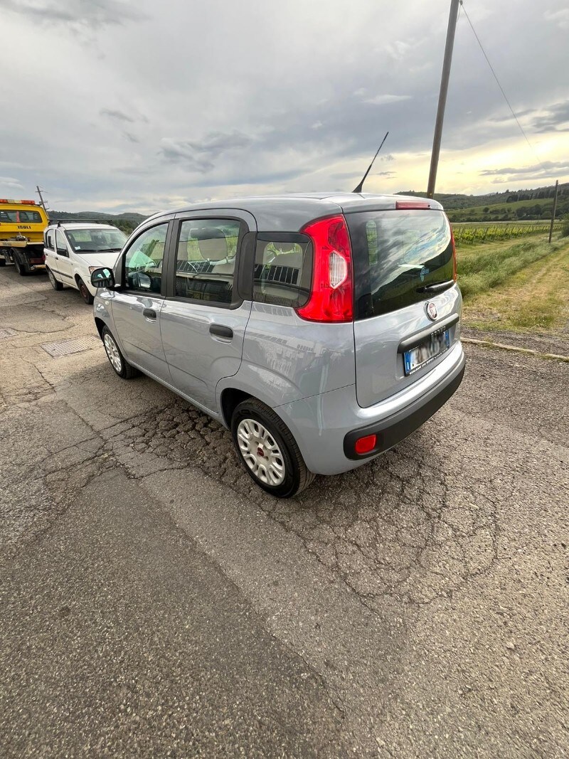 FIAT Panda 3ª serie Panda 1.2 Easy