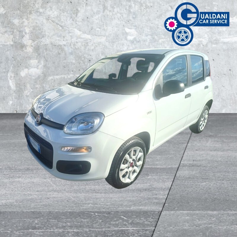 FIAT Panda 3ª serie Panda 0.9 TwinAir Turbo Natural Power Easy