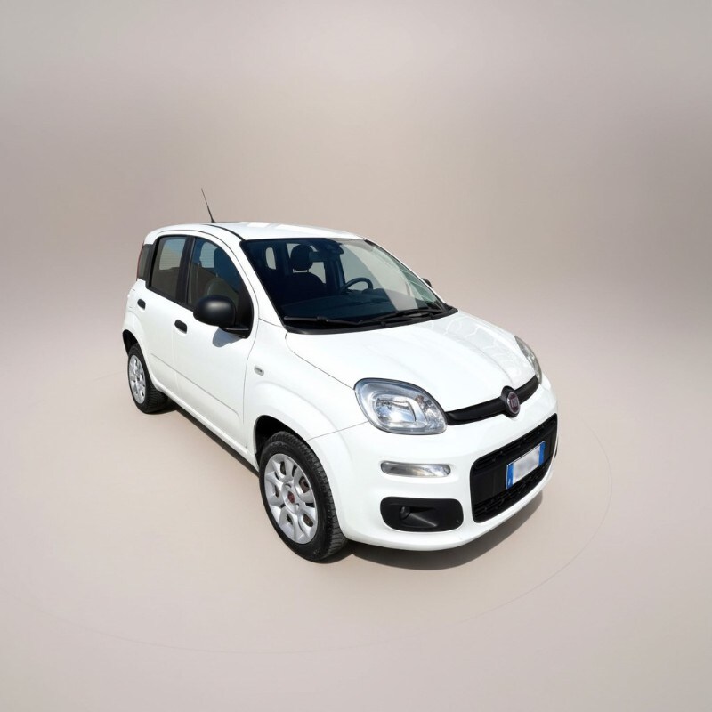 gualdani_di_giulio_gualdani_e_c_fiat_panda_3a_serie_benzinametano_6a2186b02df50.jpg