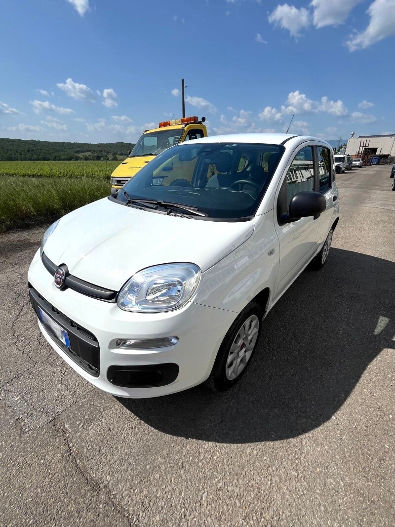FIAT Panda 3ª serie Panda 0.9 TwinAir Turbo Natural Power Easy