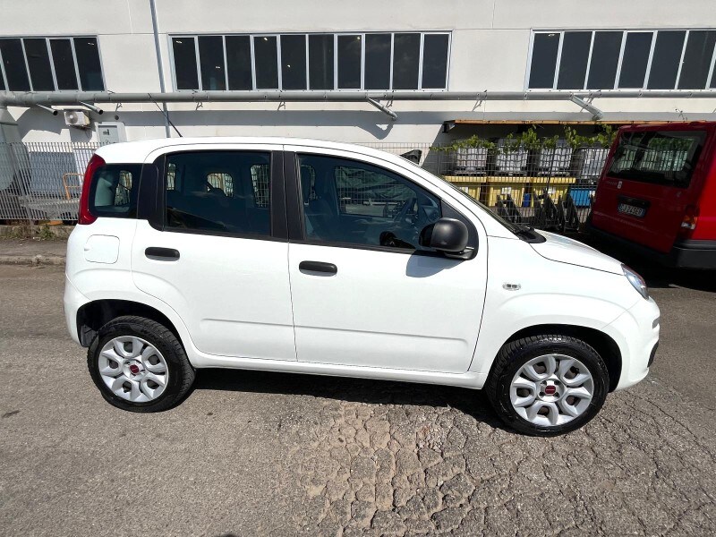 FIAT Panda 3ª serie Panda 0.9 TwinAir Turbo Natural Power Easy