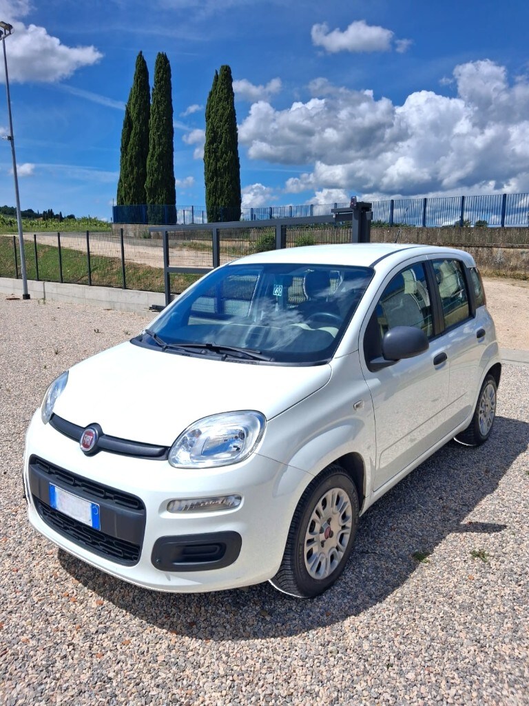 FIAT Panda 3ª serie Panda 1.3 MJT S&S Easy