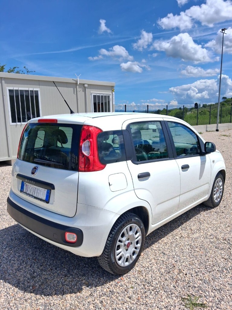 FIAT Panda 3ª serie Panda 1.3 MJT S&S Easy