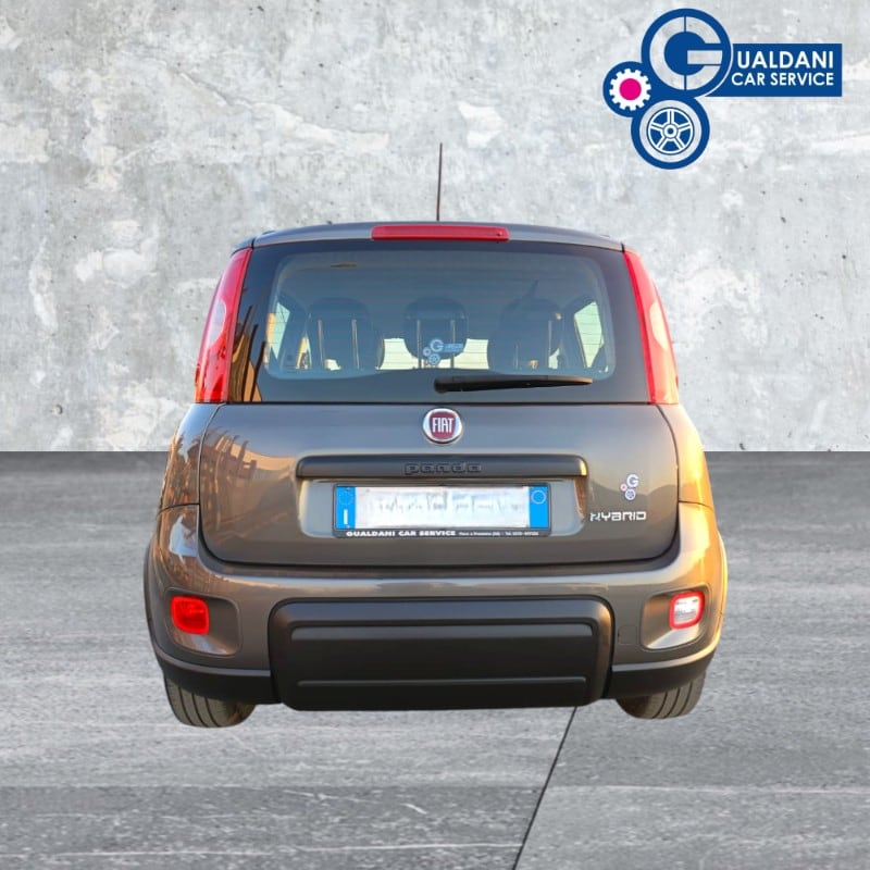 FIAT Panda 3ª serie Panda 1.0 FireFly S&S Hybrid City Life