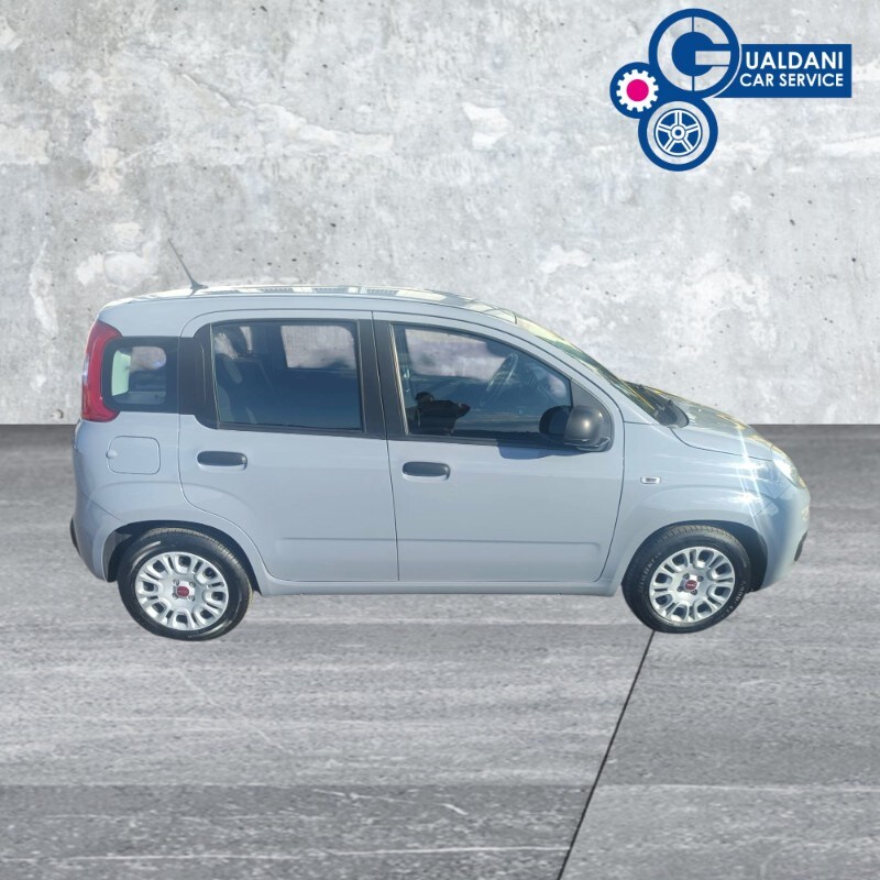 FIAT Panda 3ª serie Panda 1.0 FireFly S&S Hybrid