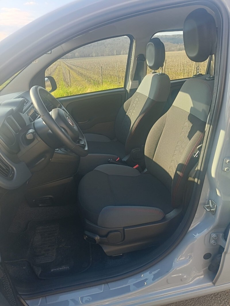 FIAT Panda 3ª serie Panda 1.0 FireFly S&S Hybrid