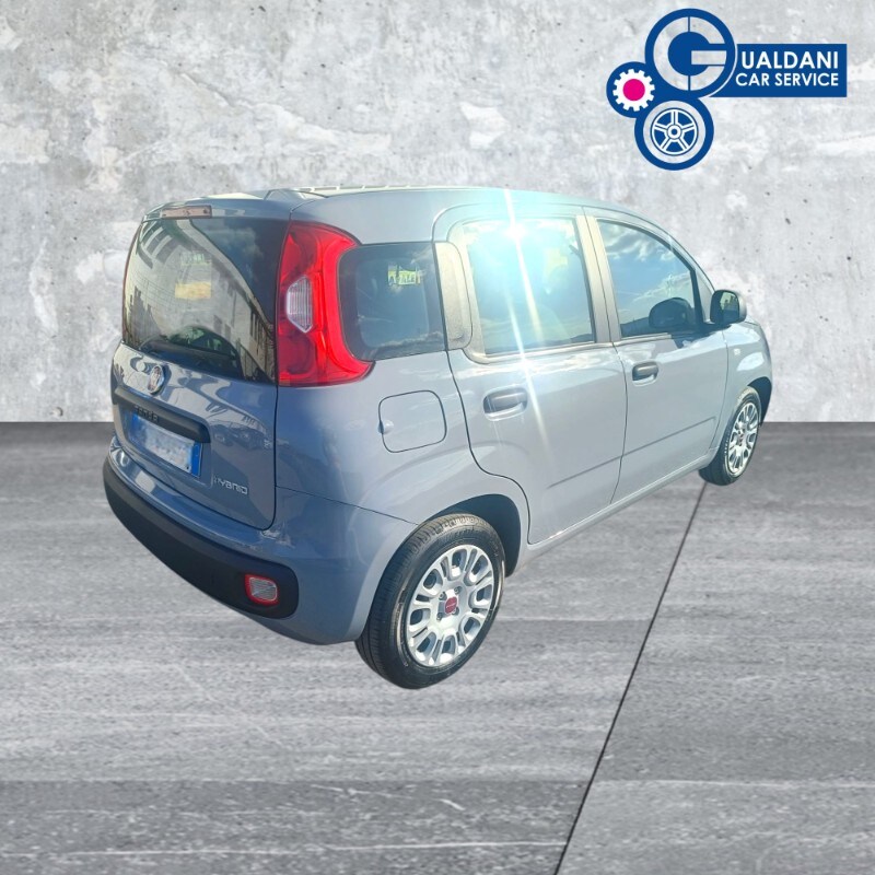 FIAT Panda 3ª serie Panda 1.0 FireFly S&S Hybrid