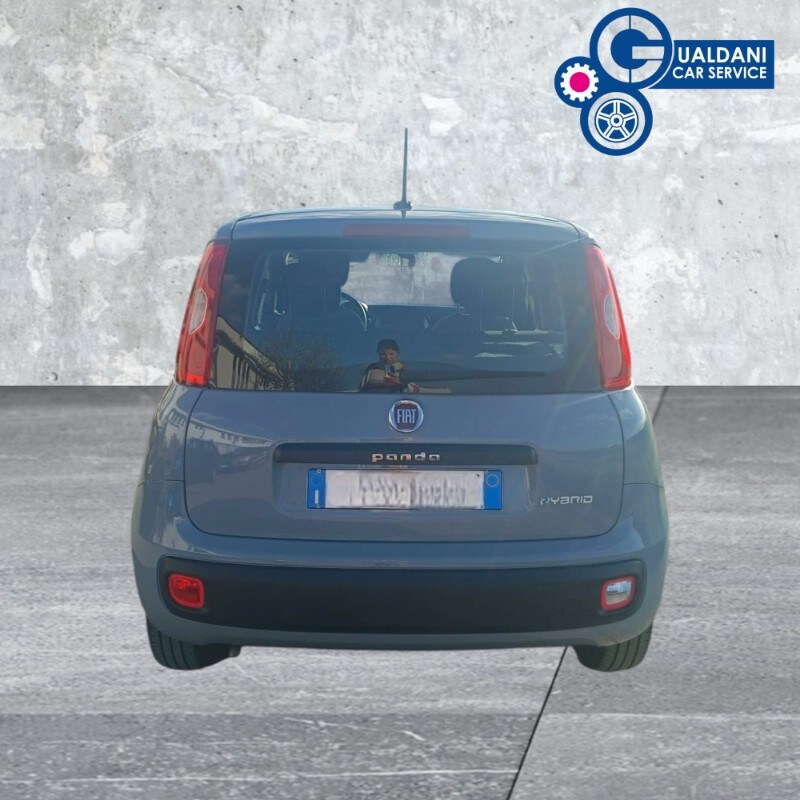 FIAT Panda 3ª serie Panda 1.0 FireFly S&S Hybrid