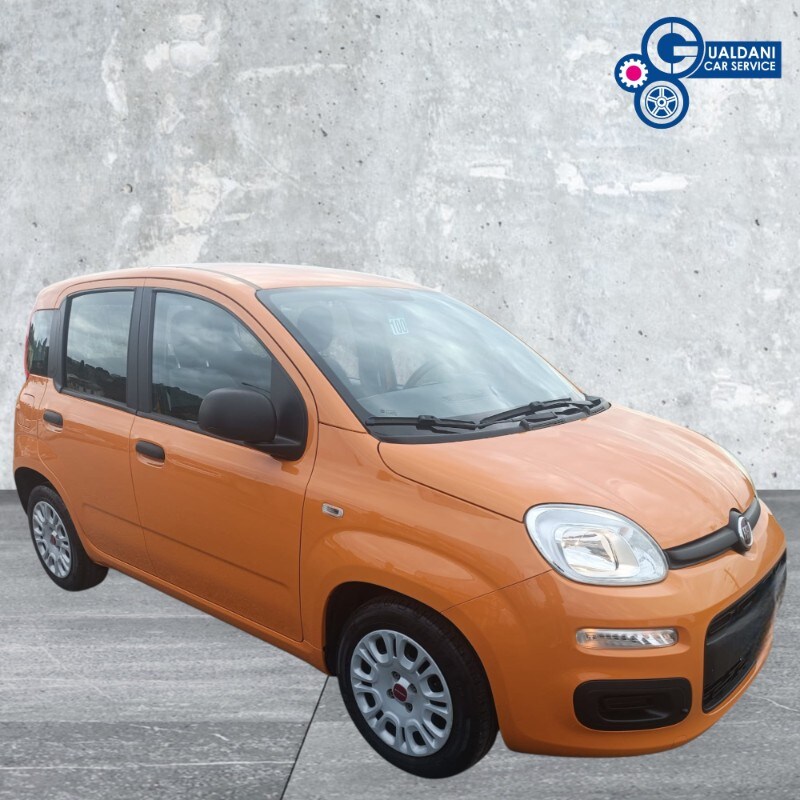 FIAT Panda 3ª serie Panda 1.0 FireFly S&S Hybrid