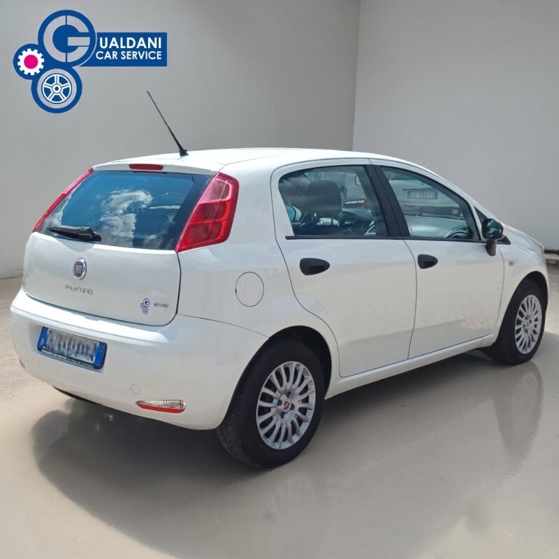 FIAT Punto 4ª serie Punto 1.2 8V 5 porte Street
