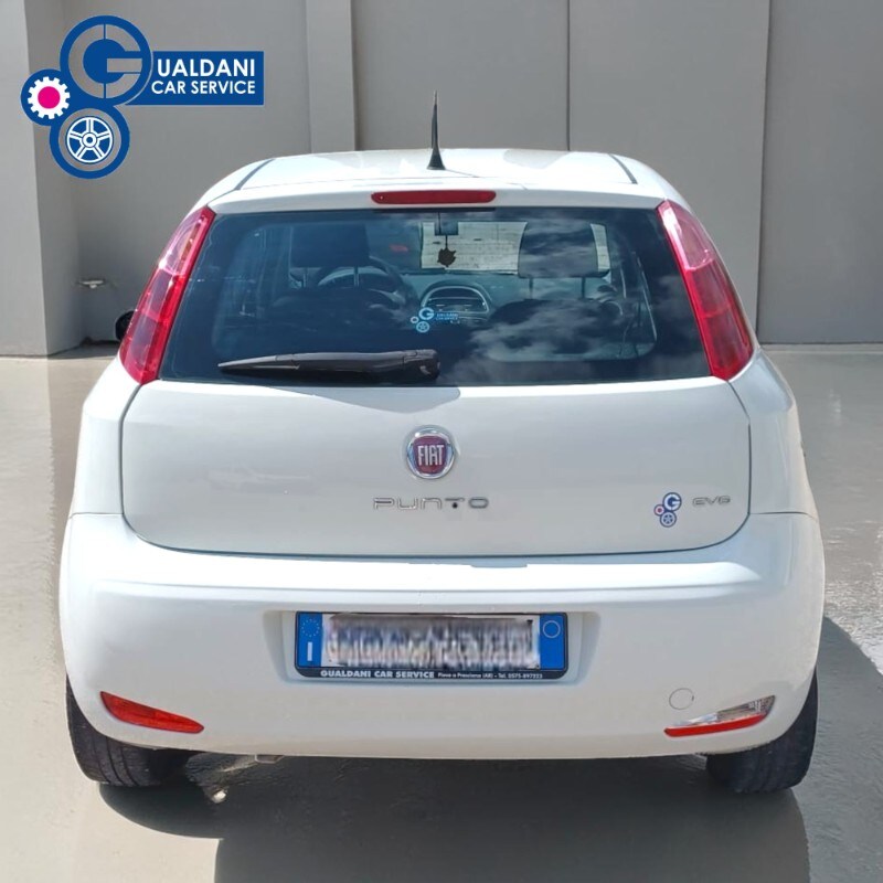 FIAT Punto 4ª serie Punto 1.2 8V 5 porte Street