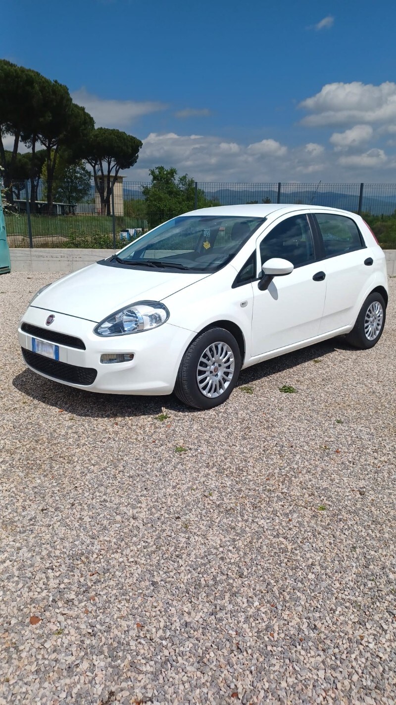 FIAT Punto 4ª serie Punto 1.2 8V 5 porte Street