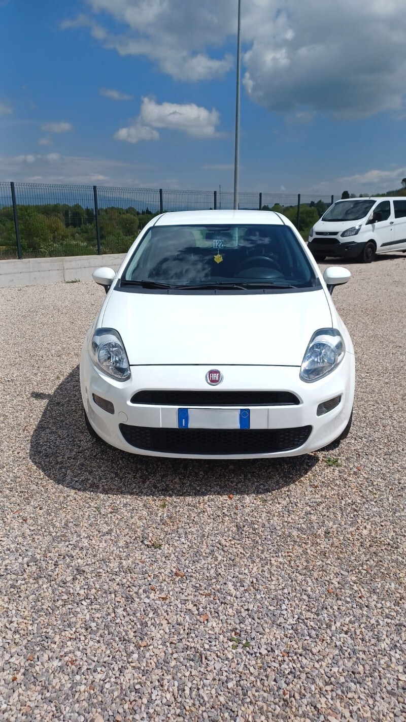 FIAT Punto 4ª serie Punto 1.2 8V 5 porte Street