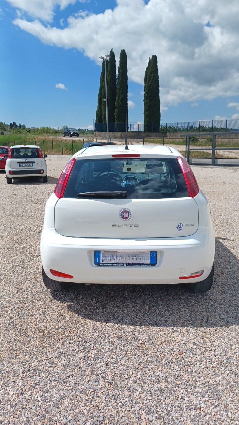 FIAT Punto 4ª serie Punto 1.2 8V 5 porte Street