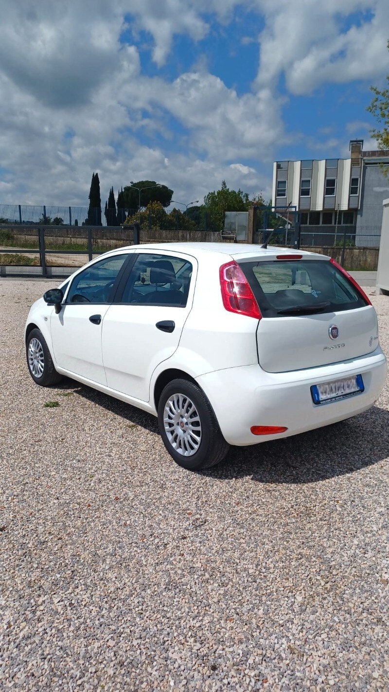 FIAT Punto 4ª serie Punto 1.2 8V 5 porte Street